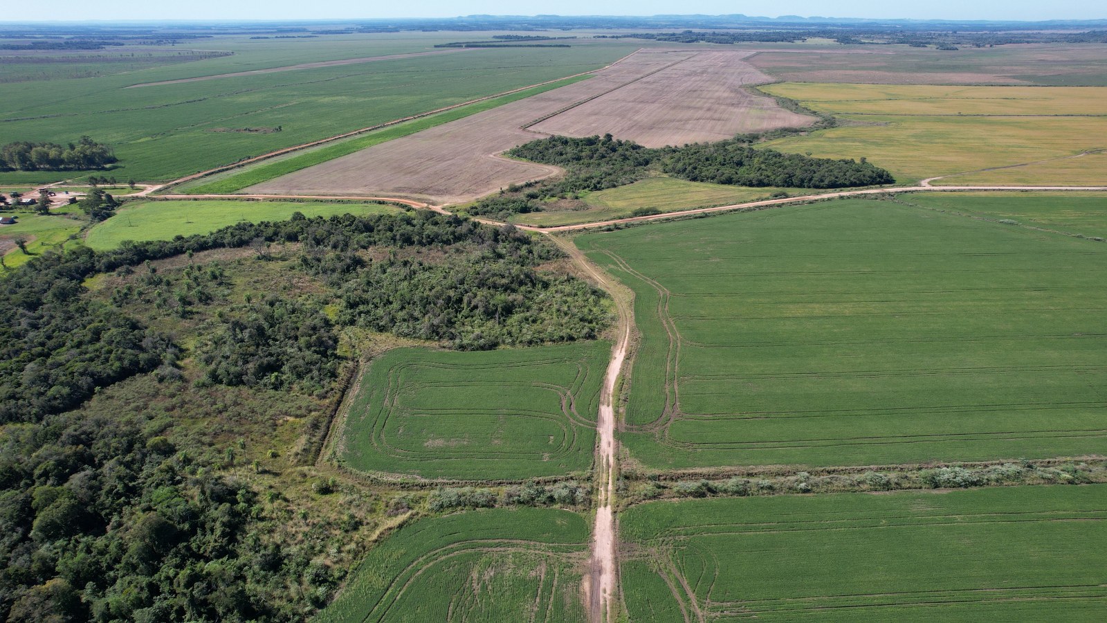 Unique Investment Opportunity In Paraguay 2508 Hectares Prime Cropping